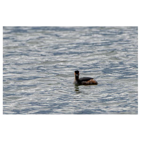 PHOTO84, CLUB, 84 , LUBERON